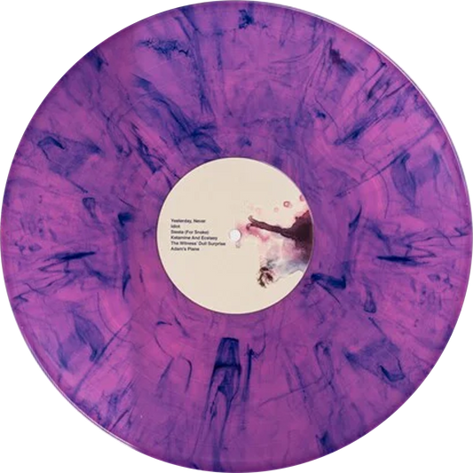 Clap Your Hands Say Yeah - Hysterical